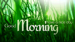 good-morning-desktop-wallpapers-sm