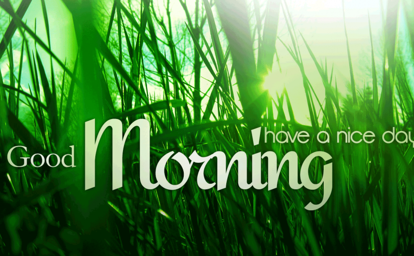 Good Morning!