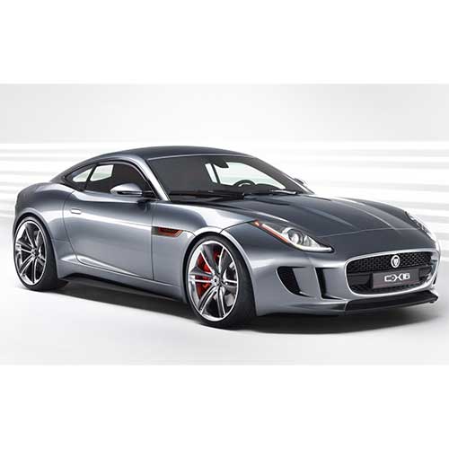 Grey Jaguar